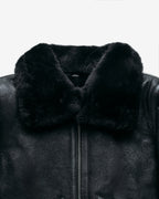 2413SW Ebony