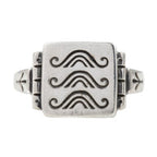 RJAPA Silver