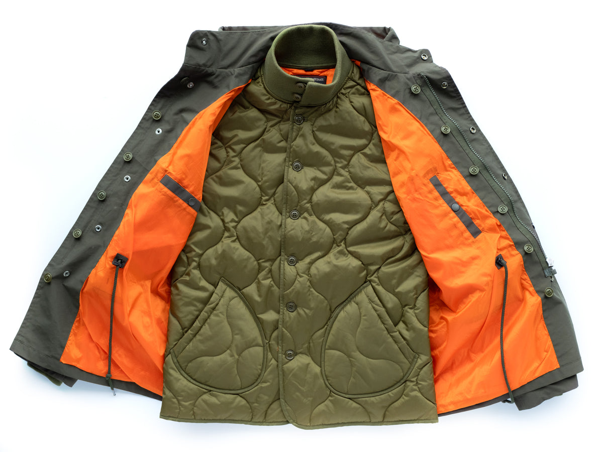 8560 Olive