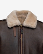 B-6 Brown