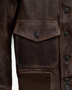 P2484 Brown