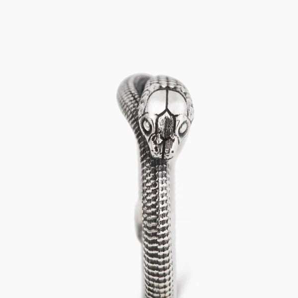 RNAG Silver