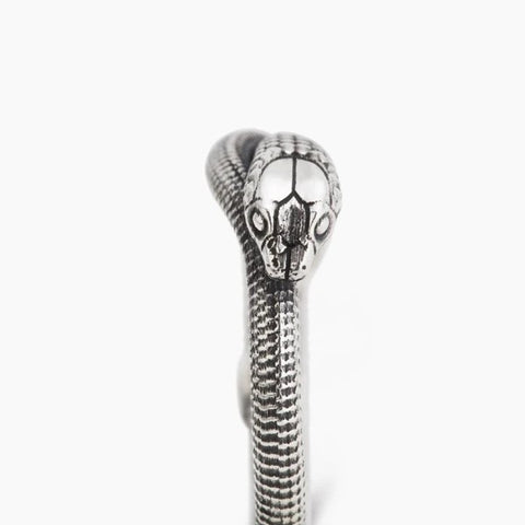 RNAG Silver