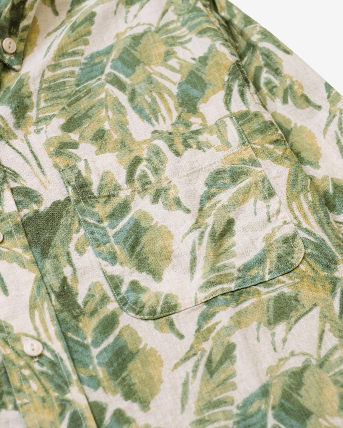 SH2521 Fern