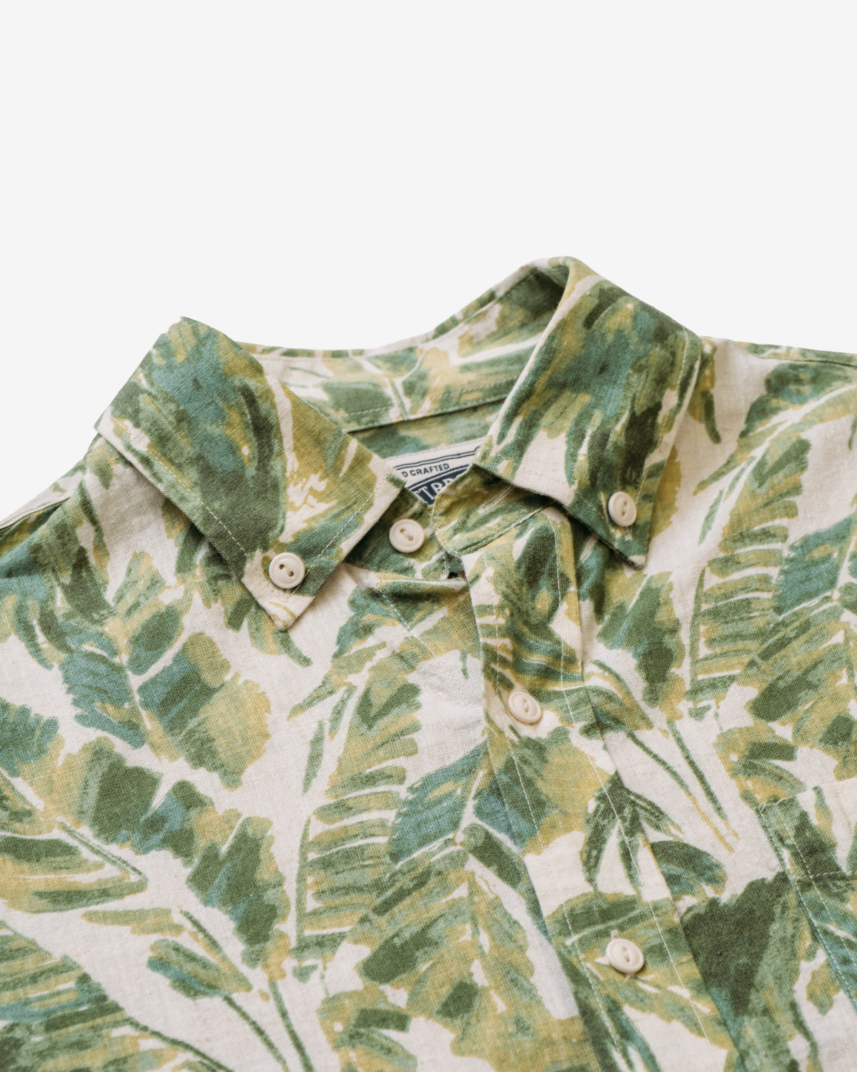 SH2521 Fern