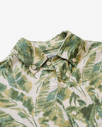 SH2521 Fern