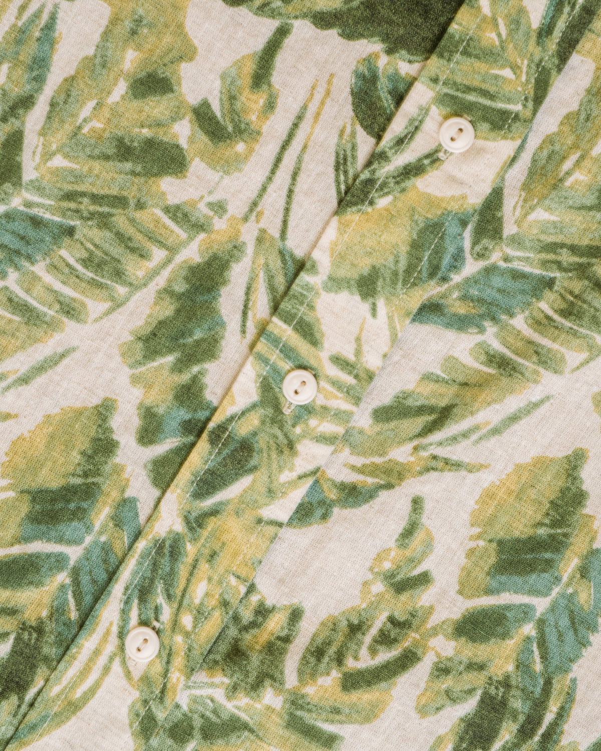 SH2521 Fern