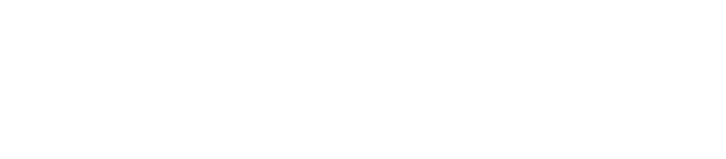Logo with text 'Your Best Schott for the Long Road' on a green background